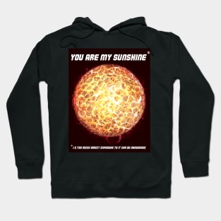 You are my Sunshine joke Hoodie